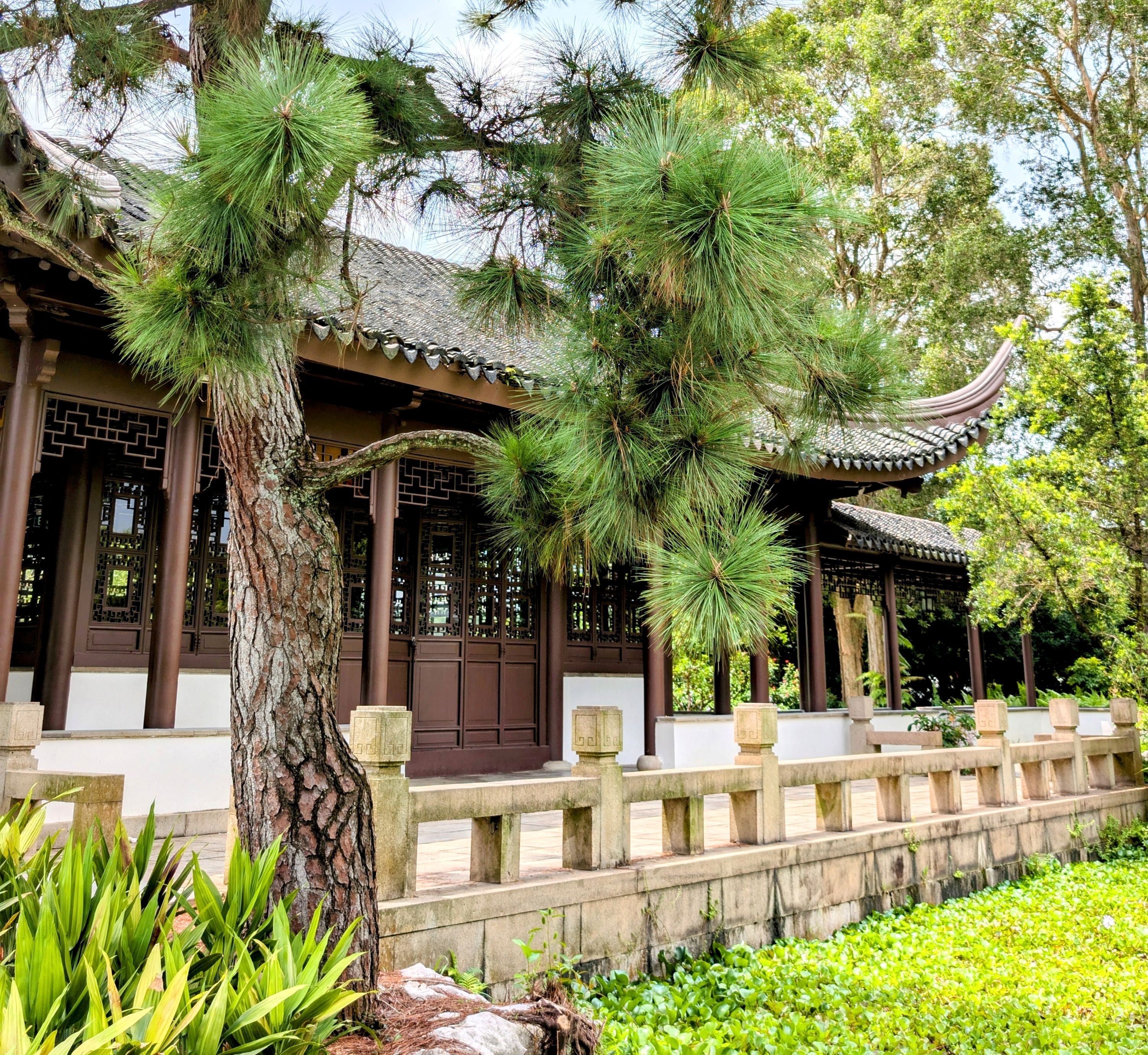 A traditional Chinese building with a curved roof, surrounded by trees and greenery.